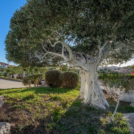 Apartmán Marconi 12a Attico Golfo Aranci